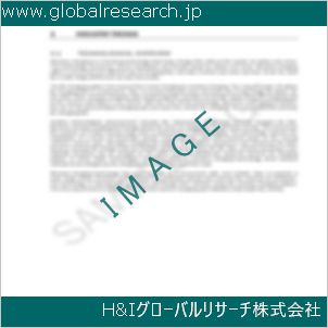 グローバルリサーチ調査資料のイメージ